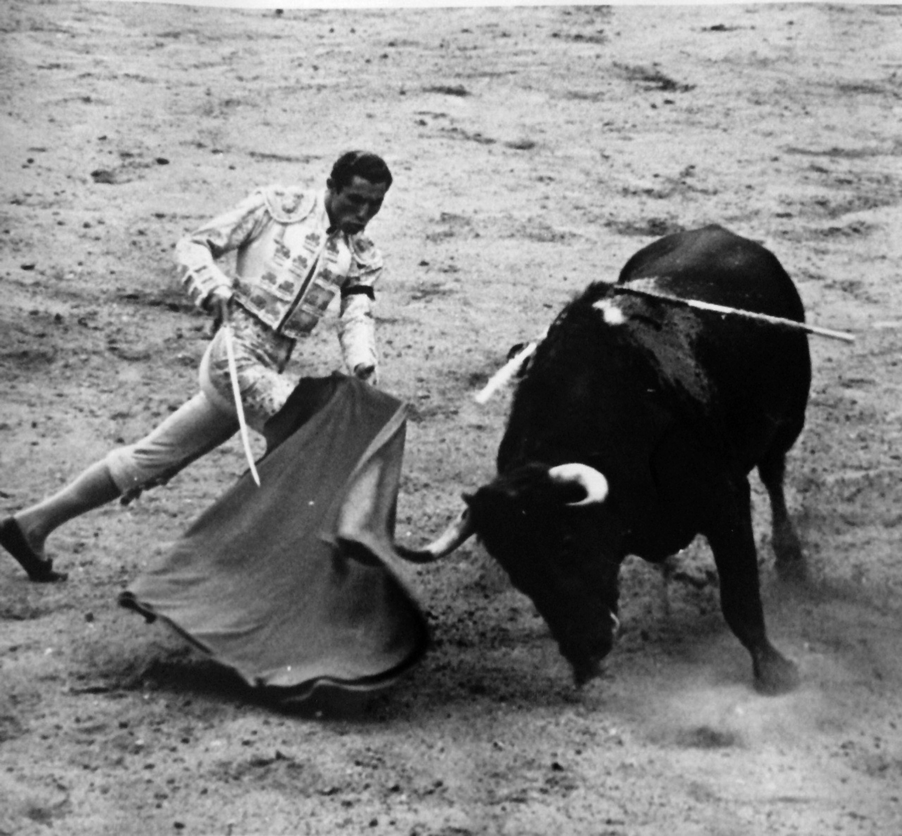 Matador and bull 2
