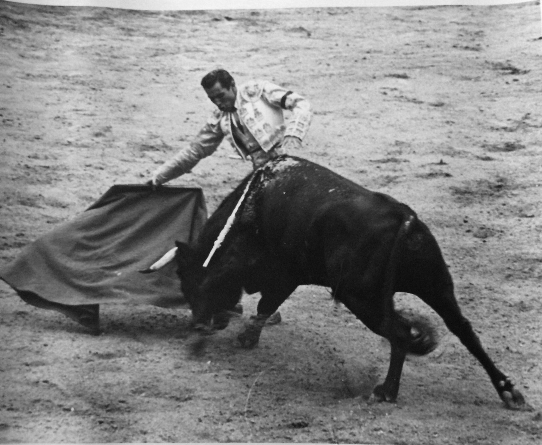 Matador and bull 4