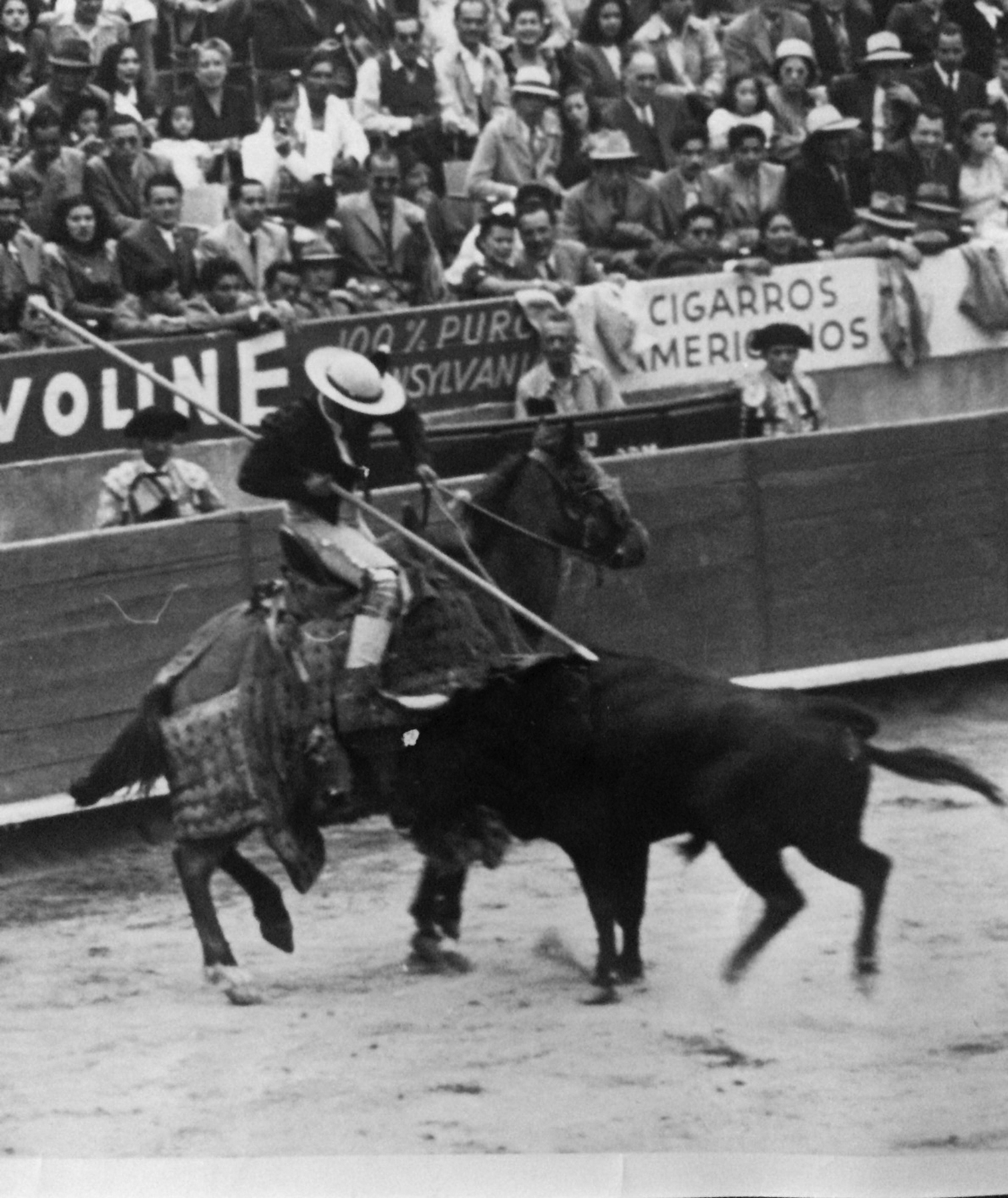 Matador and bull 5