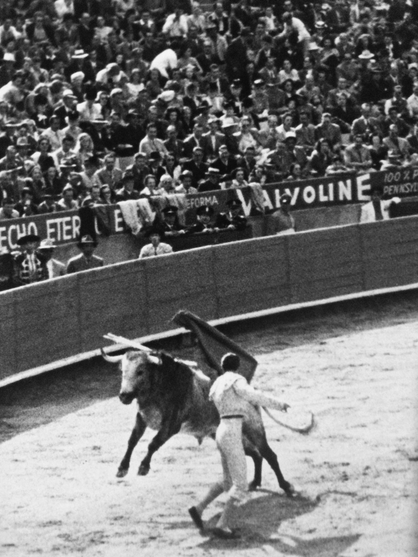 Opening bullfight